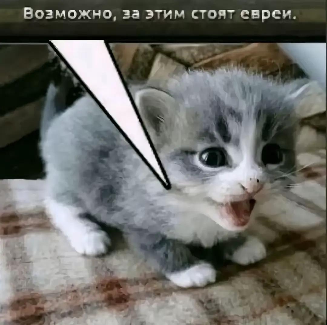 @анальный дебошир