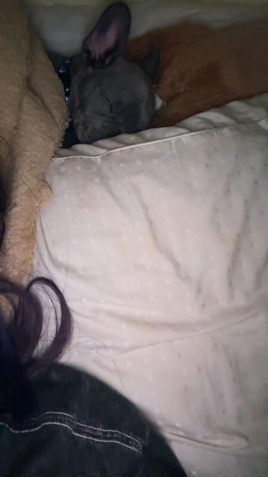@Delise9