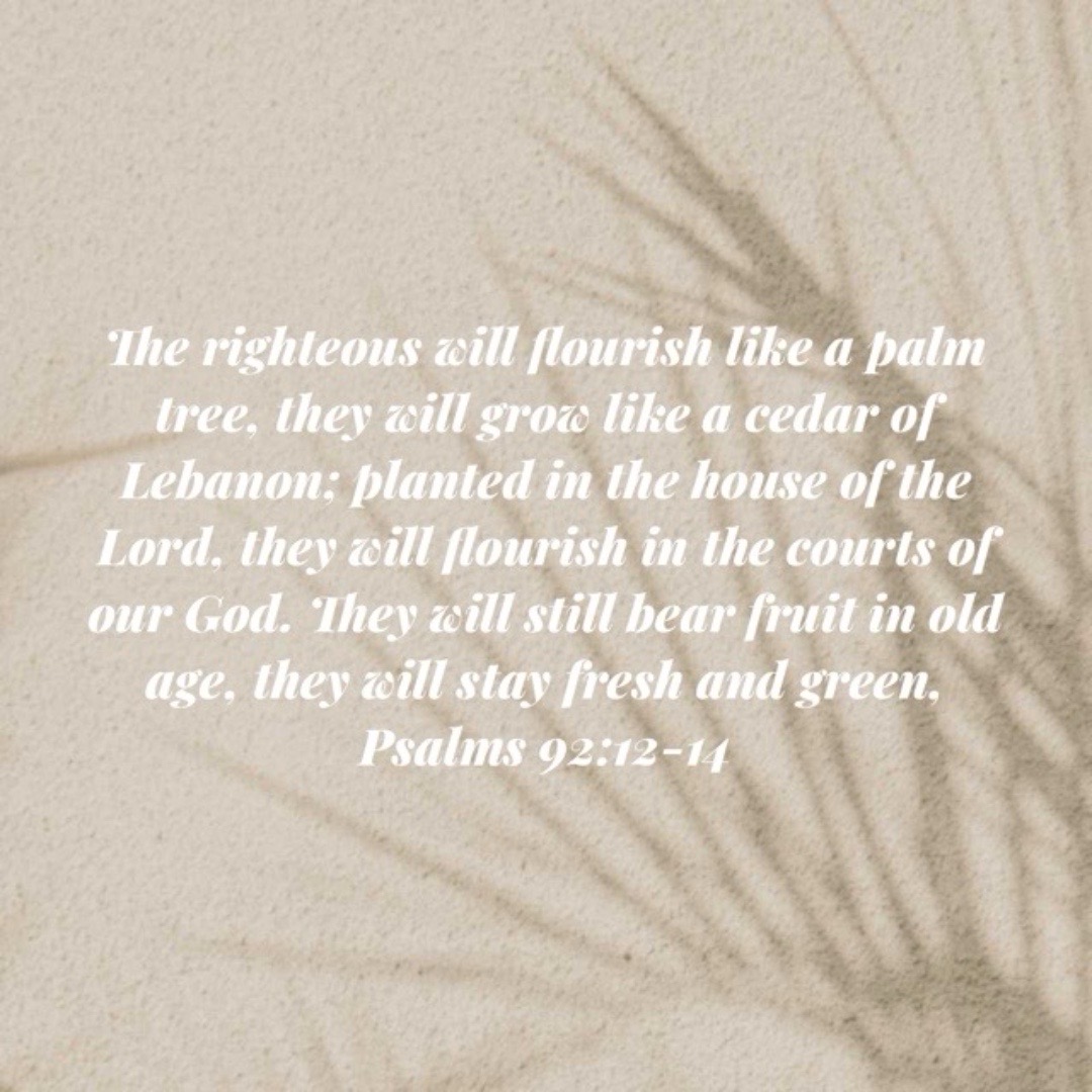 @✝️ Opposing ⚖️ Countess 👑