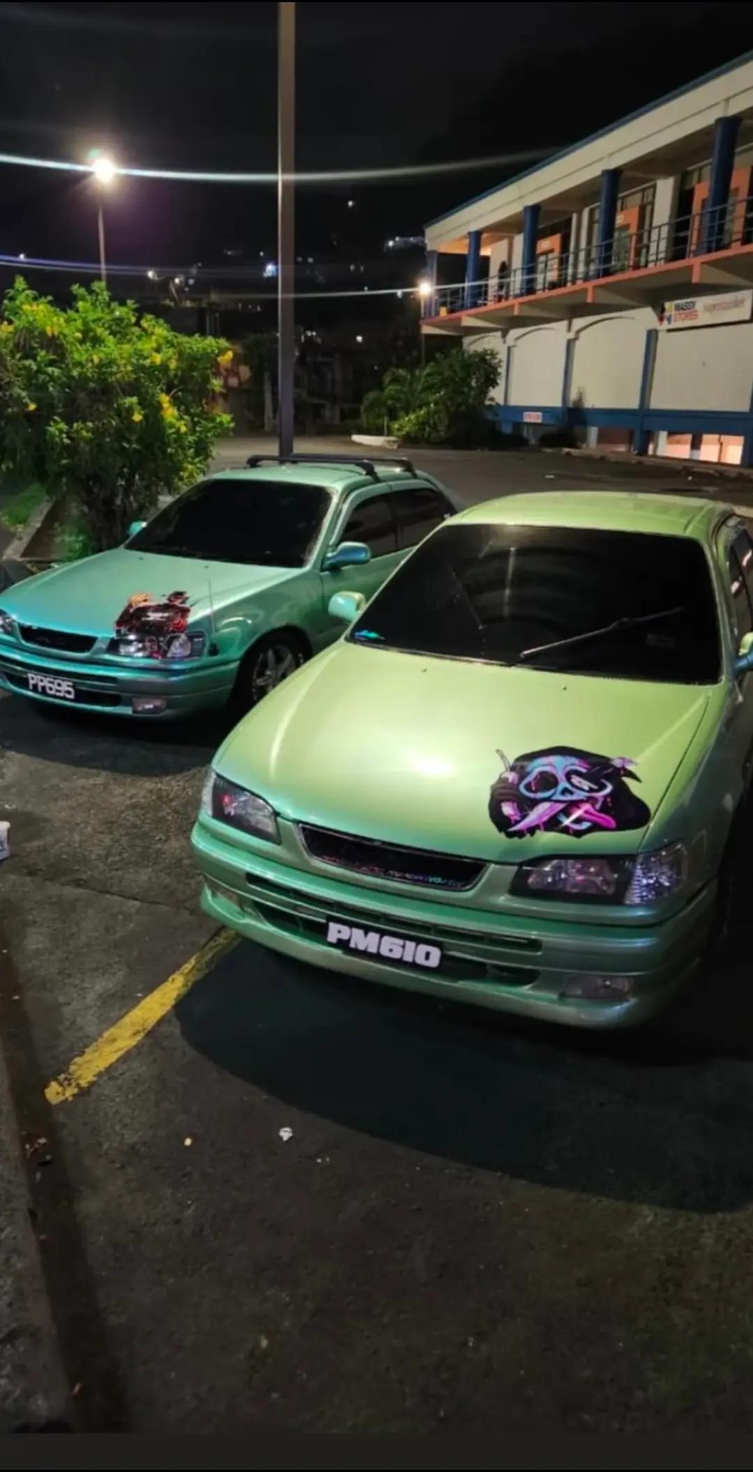 @vincycarculture_