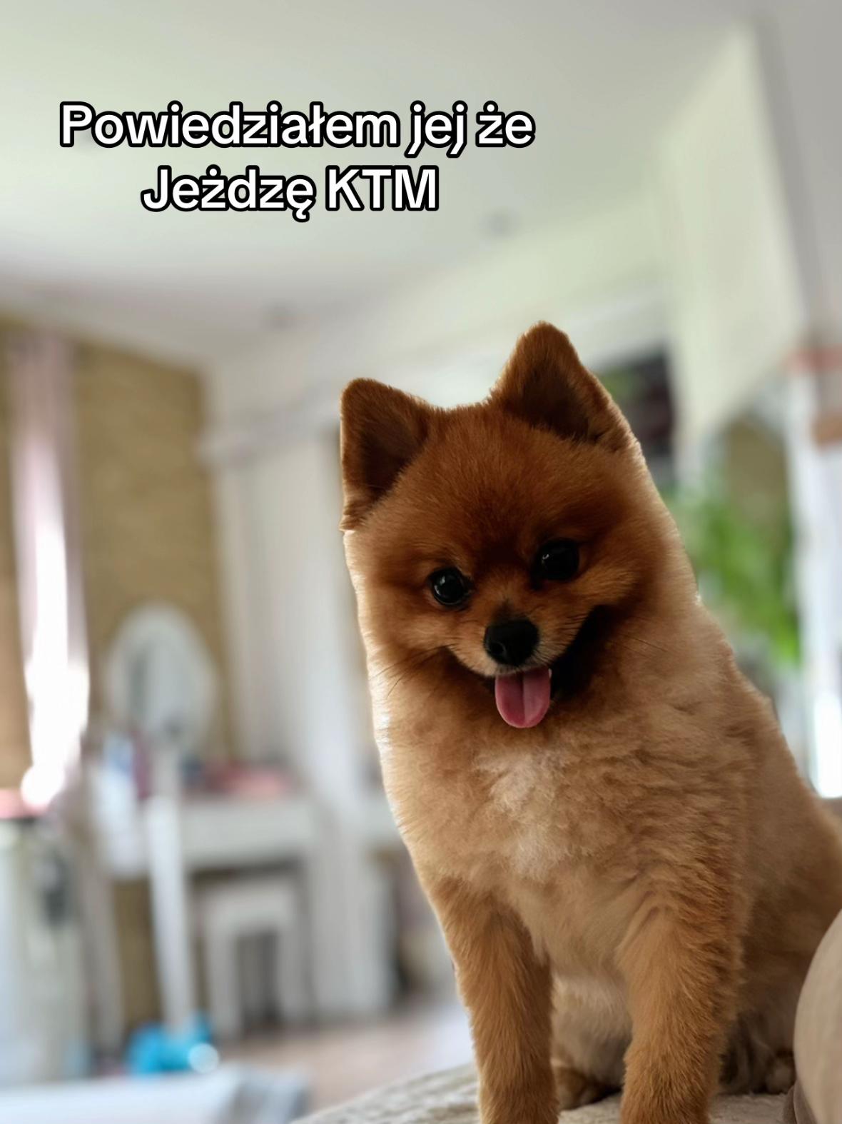 @Kuba Buszowiecki