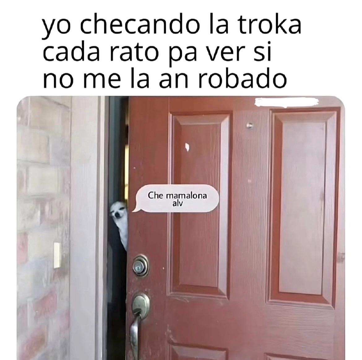 @Adrianltxxx