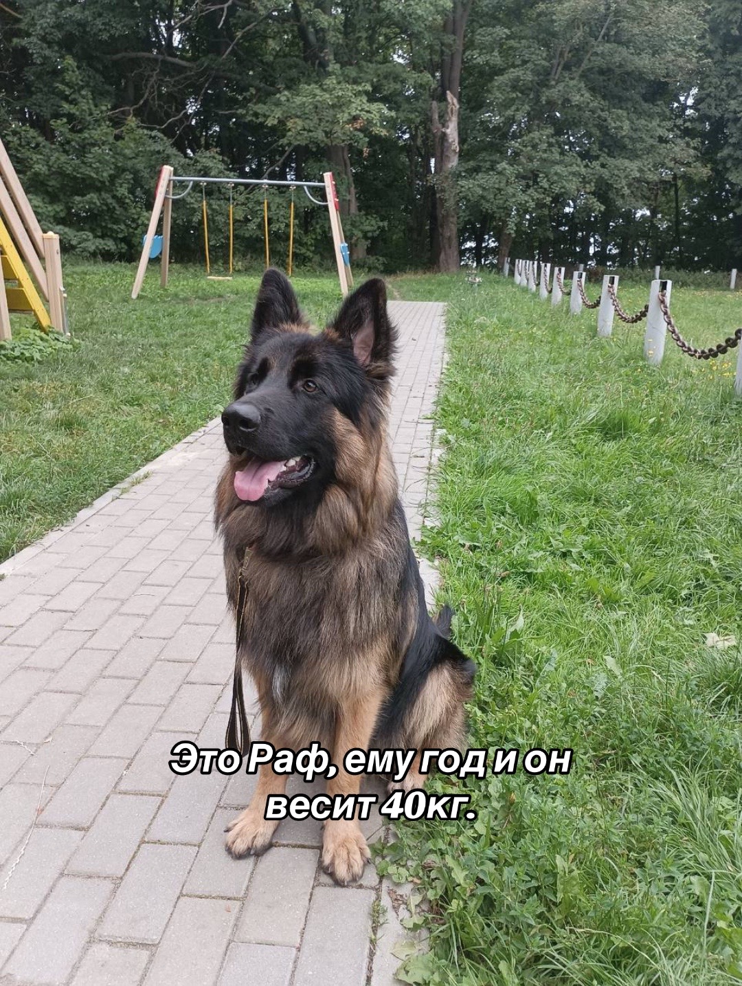 @NemezRaf