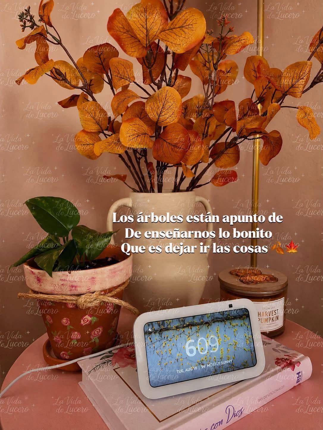 @🌺juanys🌺🍁