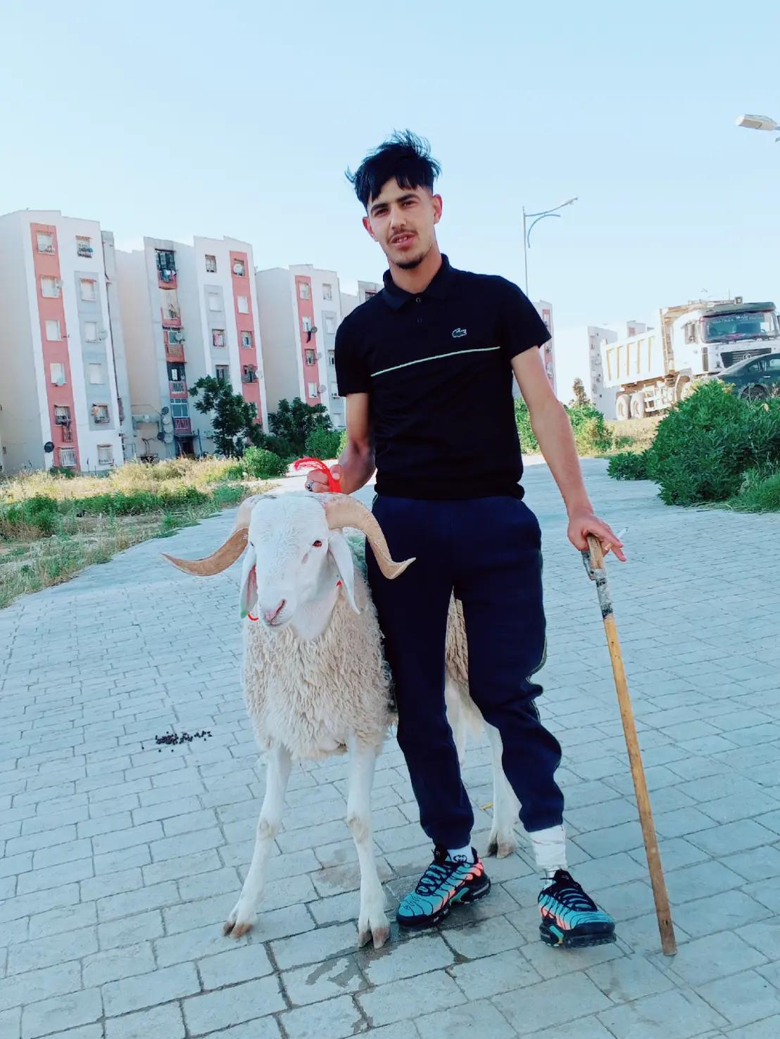 @SèÏF Çsc