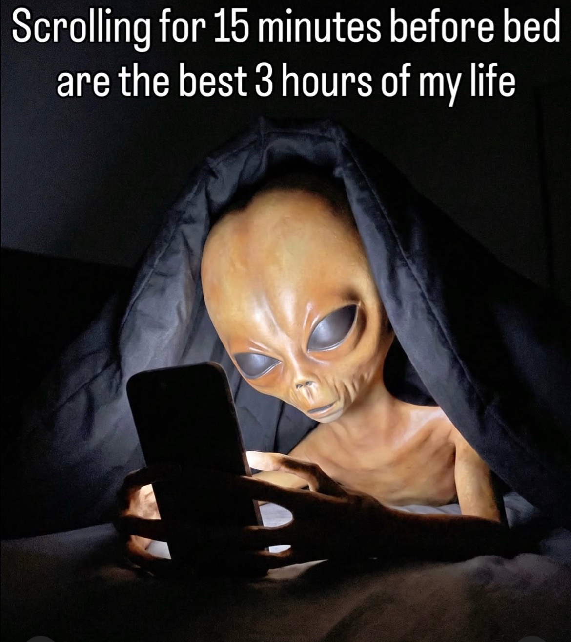 @vibezonly900