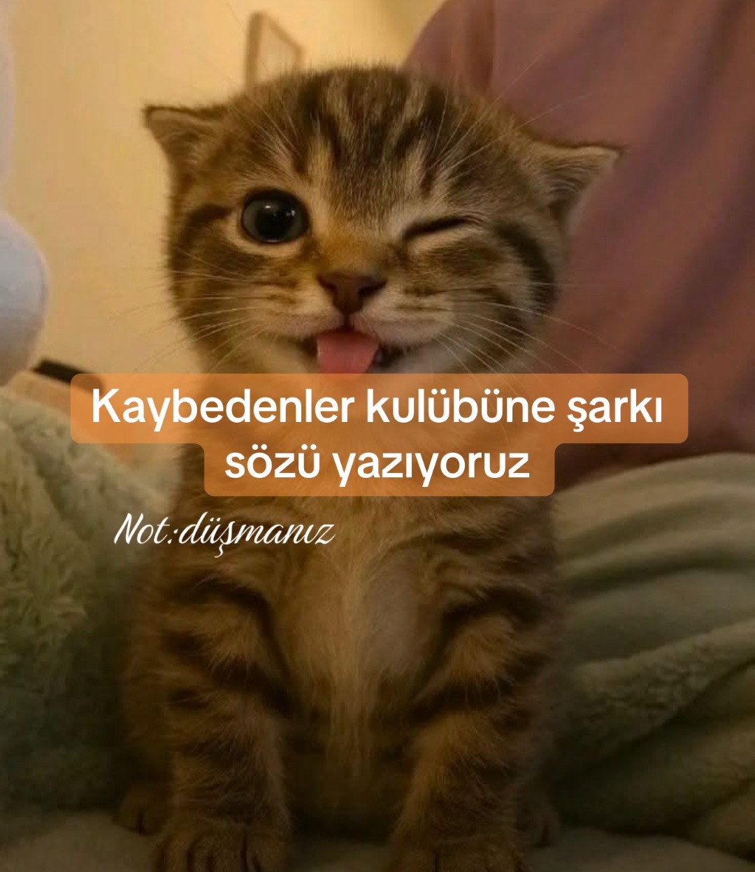 @𝘼𝙙𝙖 𝙎𝙥𝙖𝙜𝙝𝙚𝙩𝙩𝙞&rsquo;