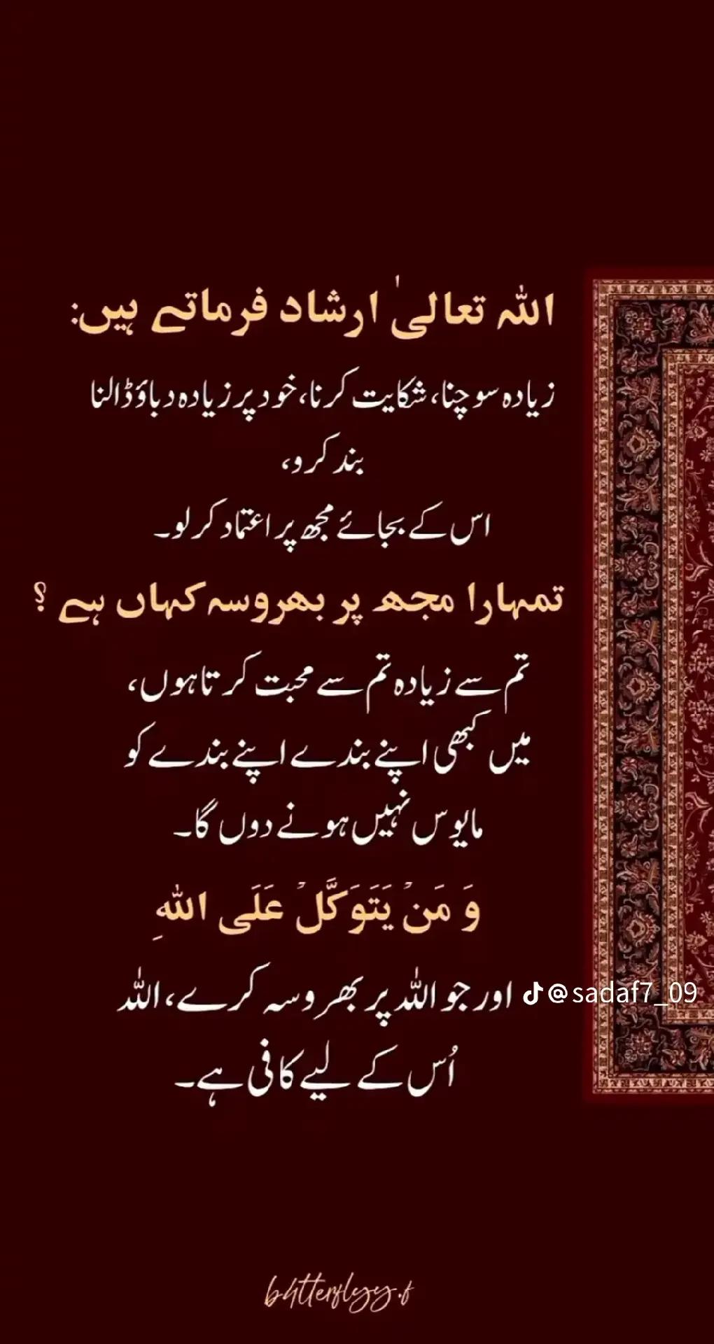 @✨ نورِ ہدایت ✨