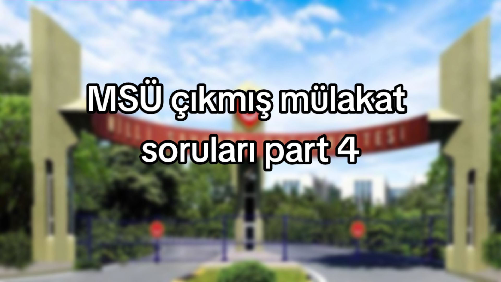 @msu.rehberim