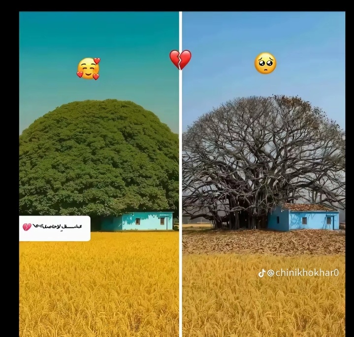 @Rupa Paswan