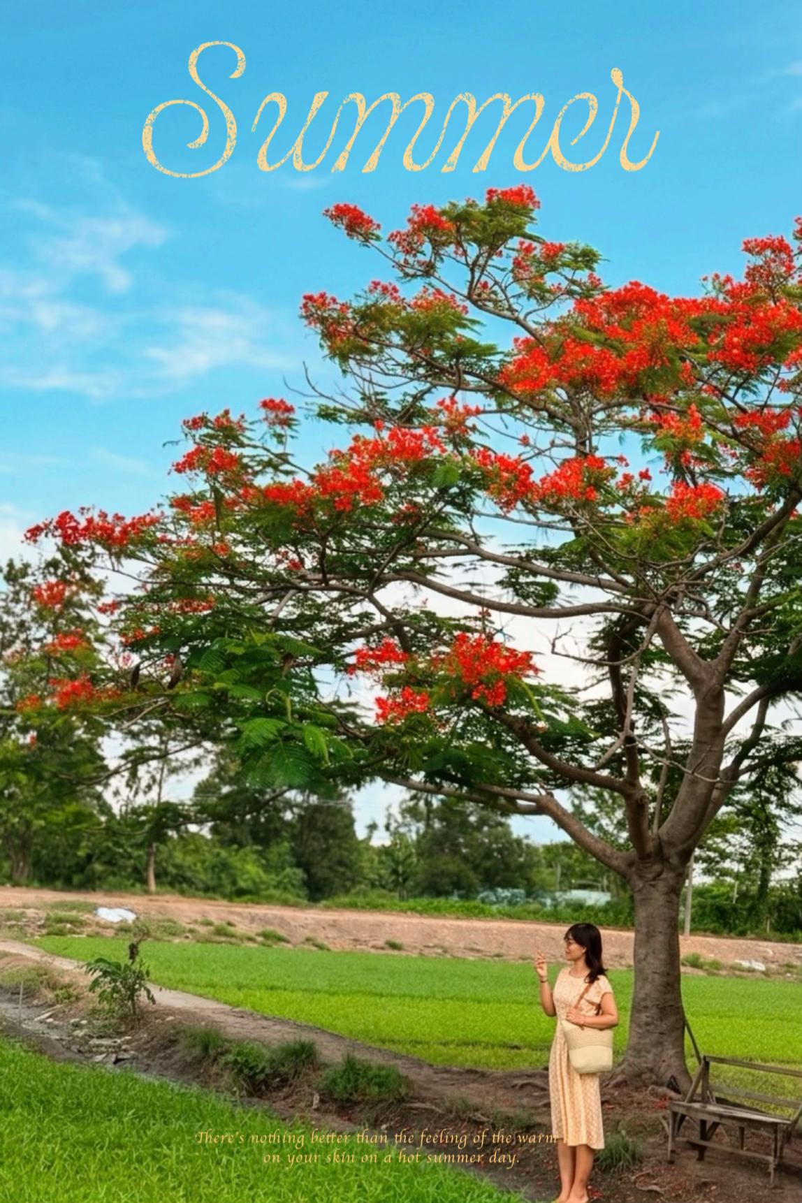 @Cecilia Phạm