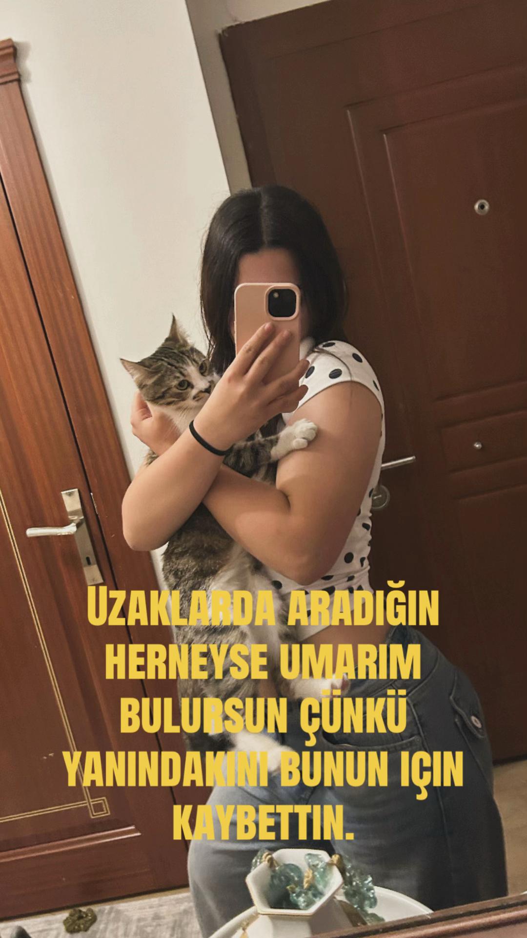 @beeerrreeennn