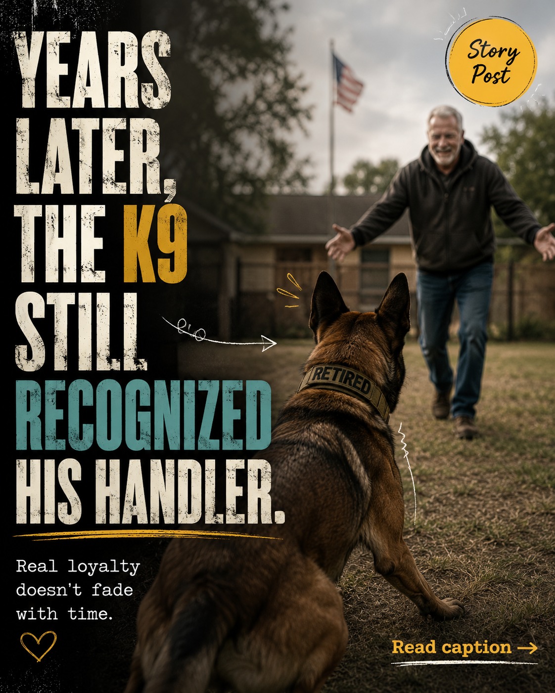 @K9 Warrior