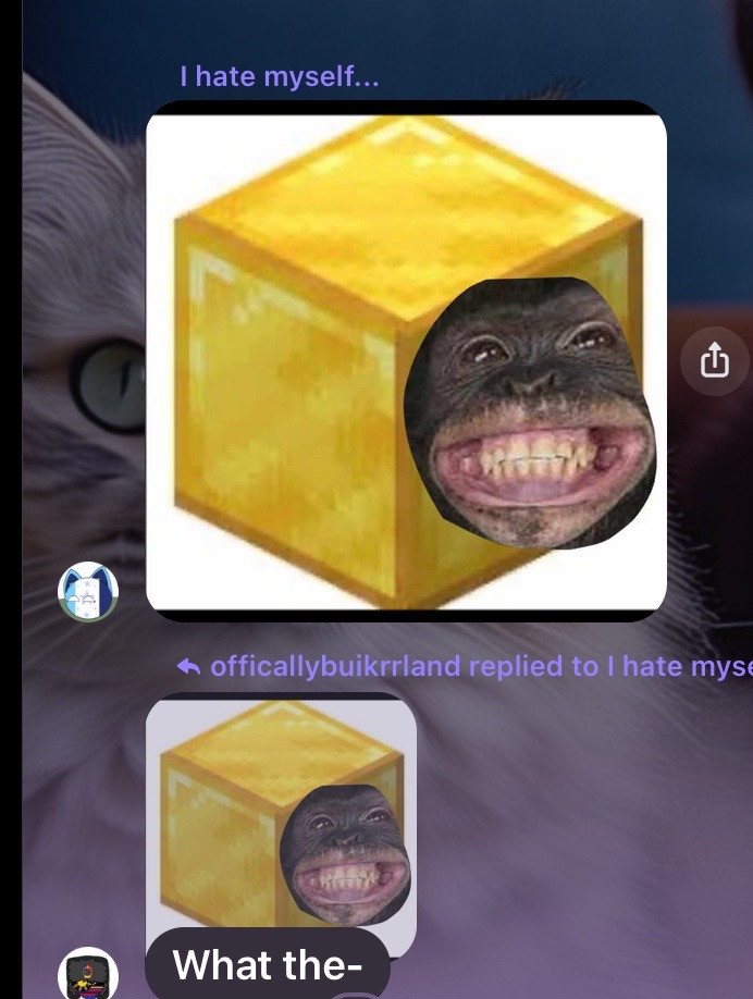 @AECORhatesemojicats