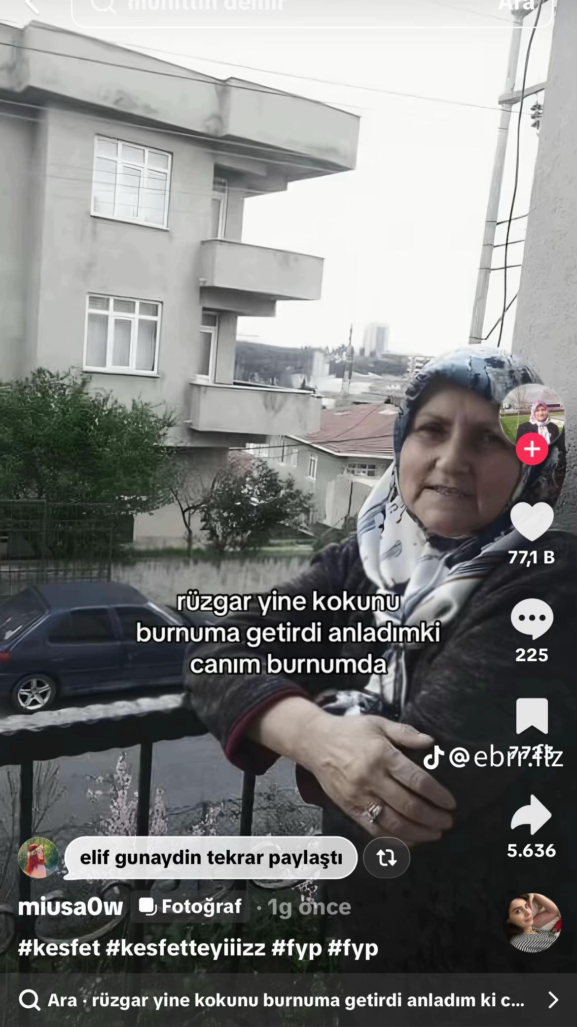 @aleynagokcee._