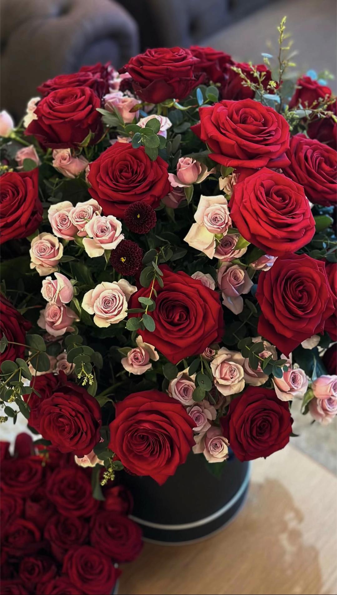 @𝐀𝐦𝐢𝐫𝐚