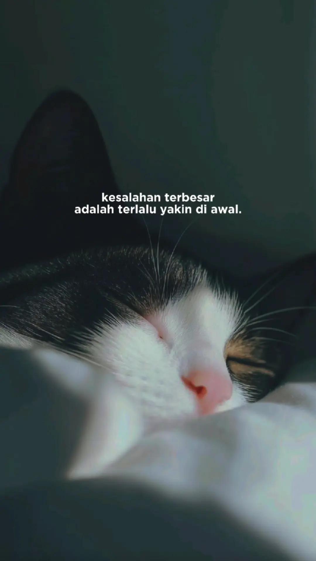 @ɪQʙᴀʟᴘʀᴀᴛᴀᴍᴀ✪