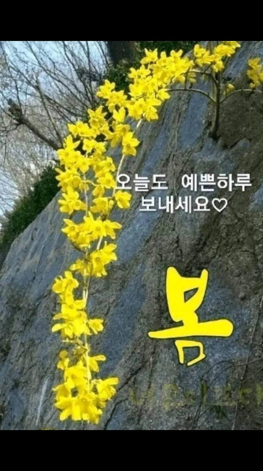 @바라보기