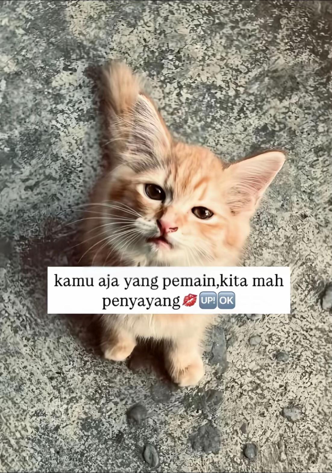 @AL