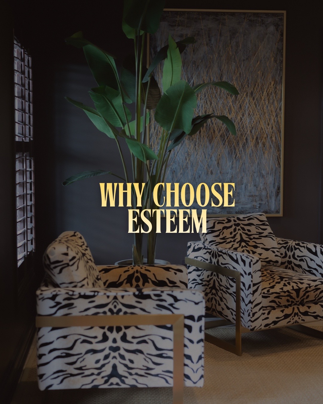 @Esteem Aesthetics