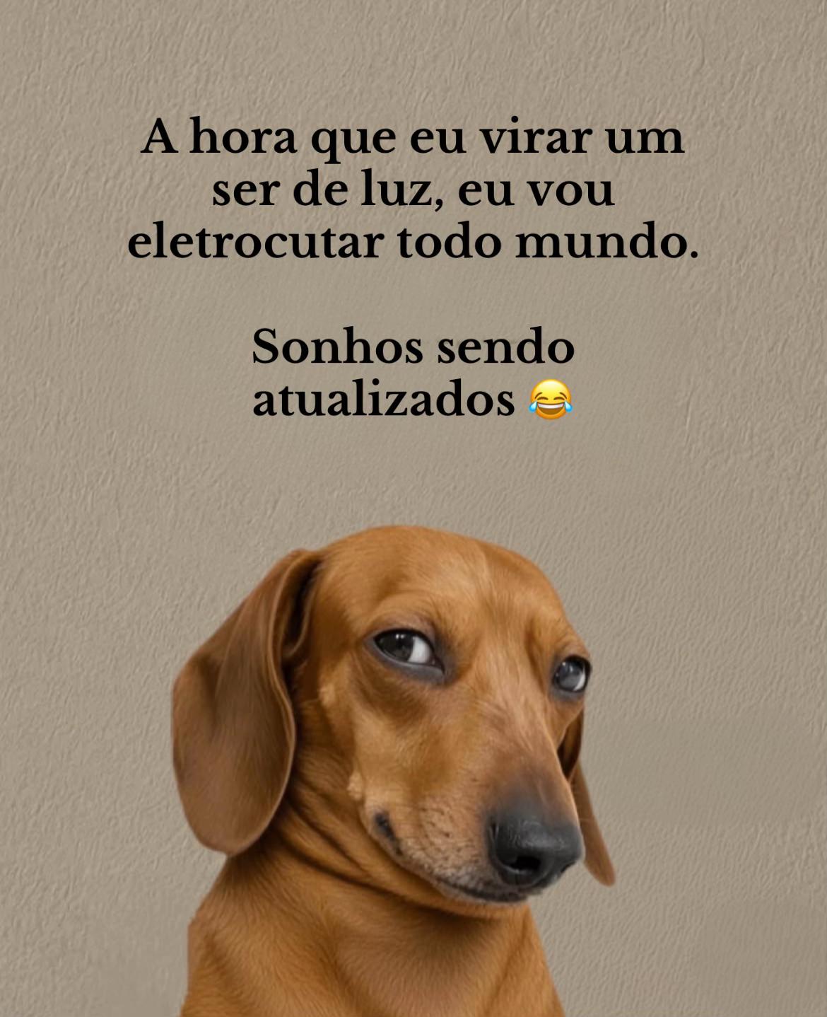 @Paula Vitti