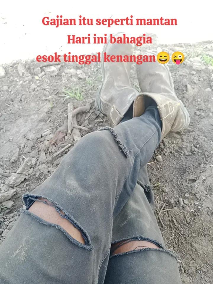 @nyamuk nakal