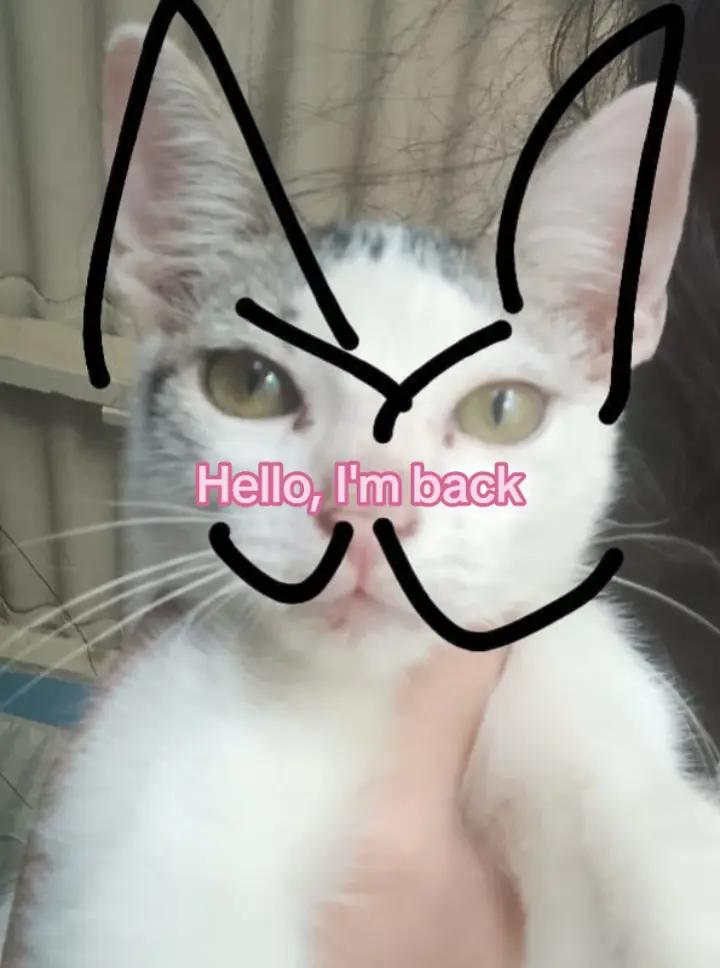 @🌀🦄Lulu!!🦄🌀