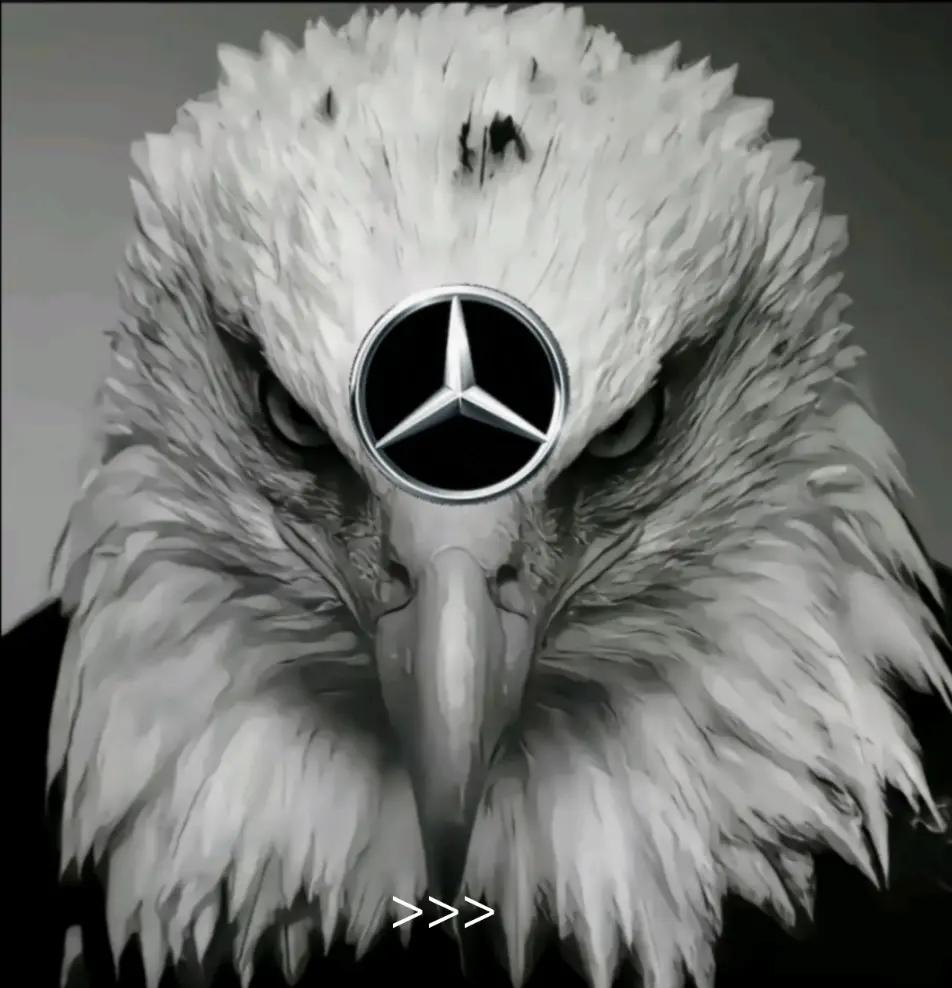 @𝑪𝑳𝑺 𝑪𝑳𝑼𝑩