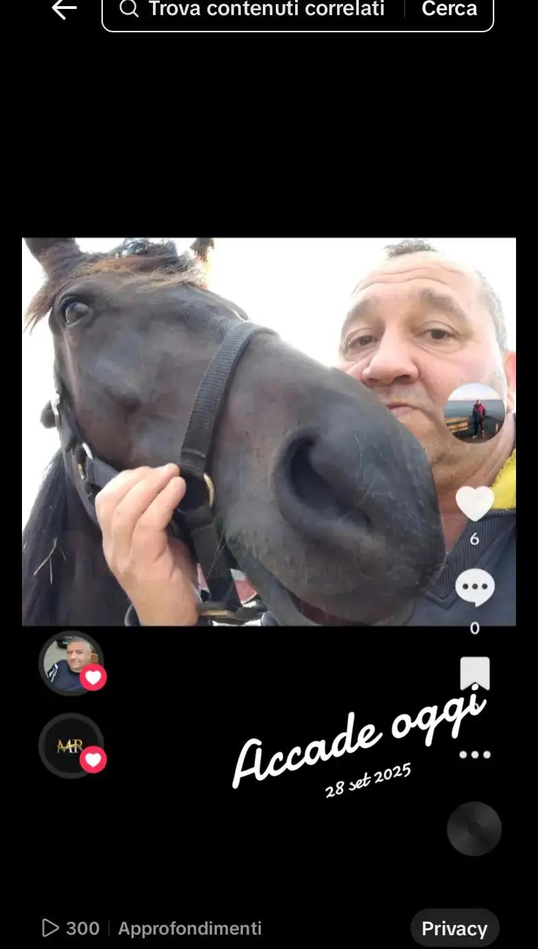 @Alessandro De Chirico