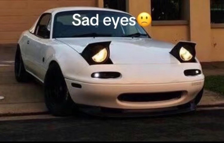 @Shaboingy.13