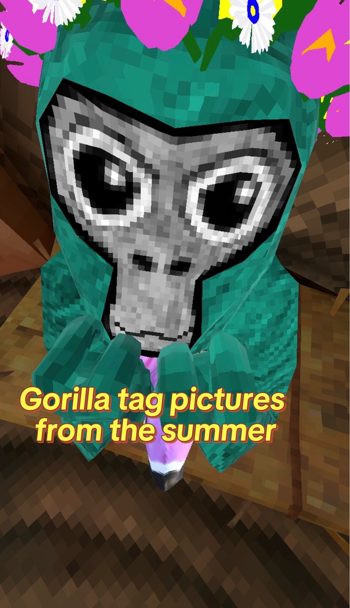 @≽^• ˕ • ྀི≼