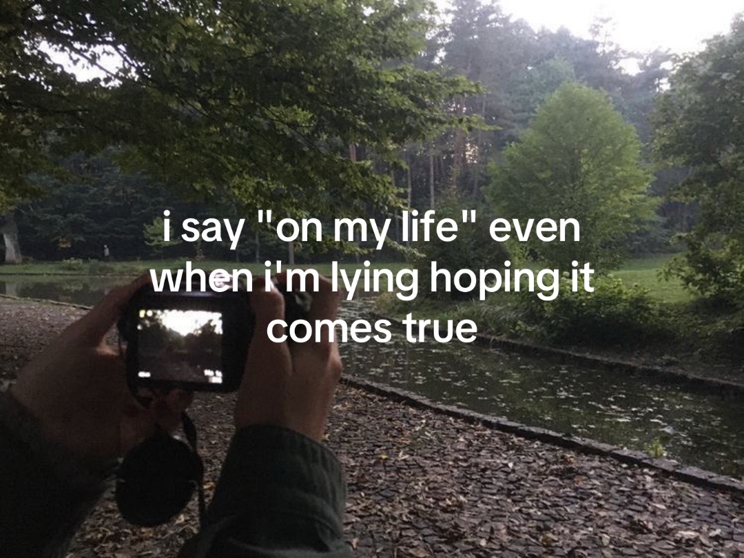 @｡