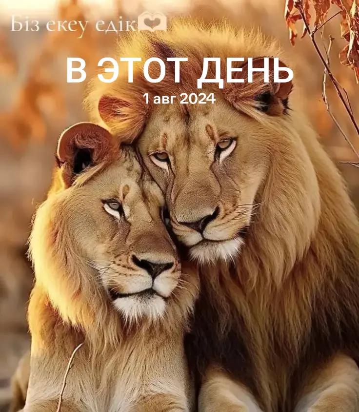 @Berik Aktau🇰🇿
