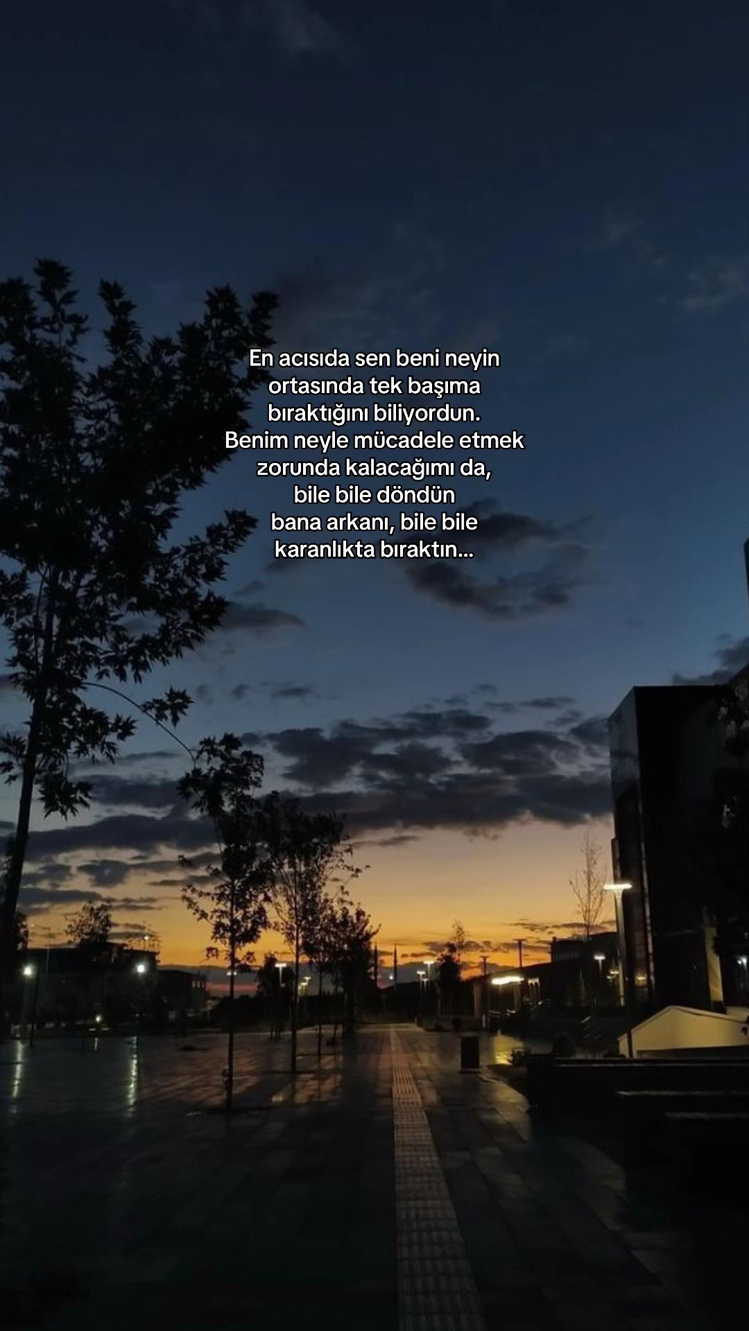 @seviyorgibiydin24