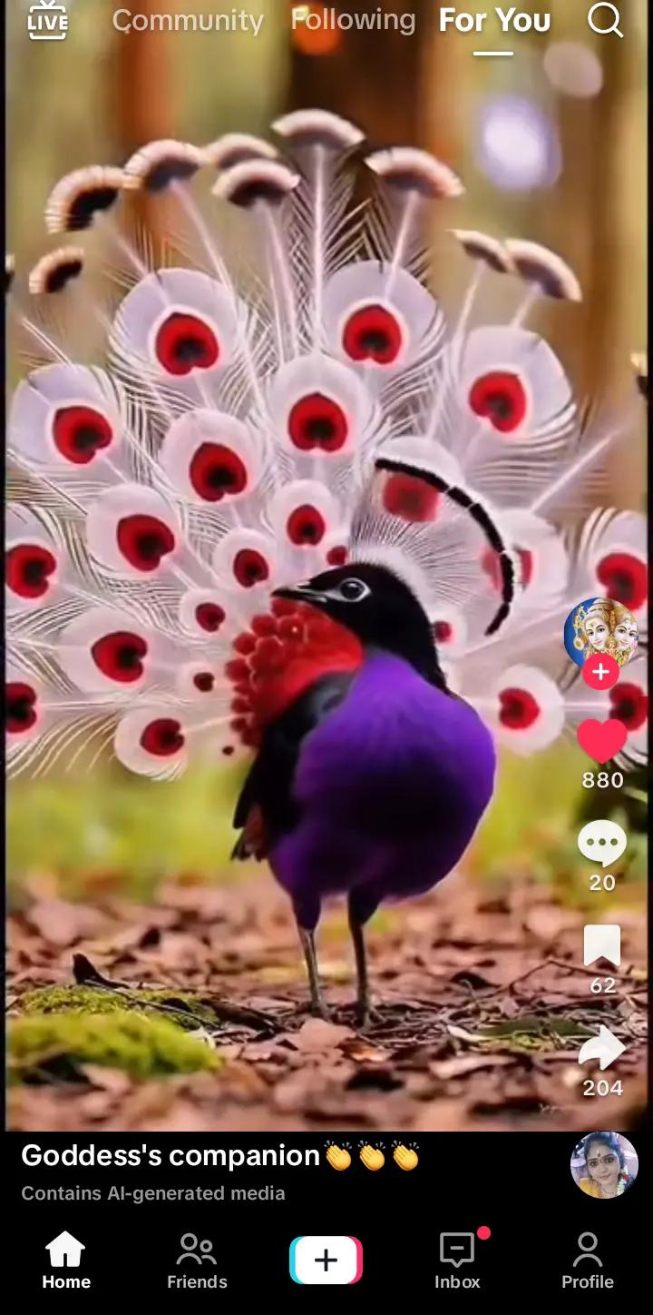 @ravi.ravi