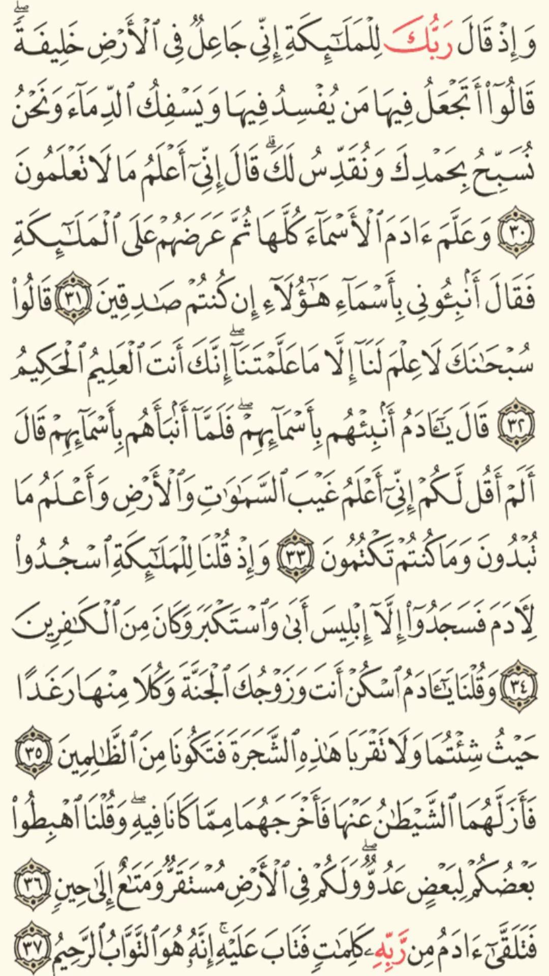 @الشيخ ول سيدأب