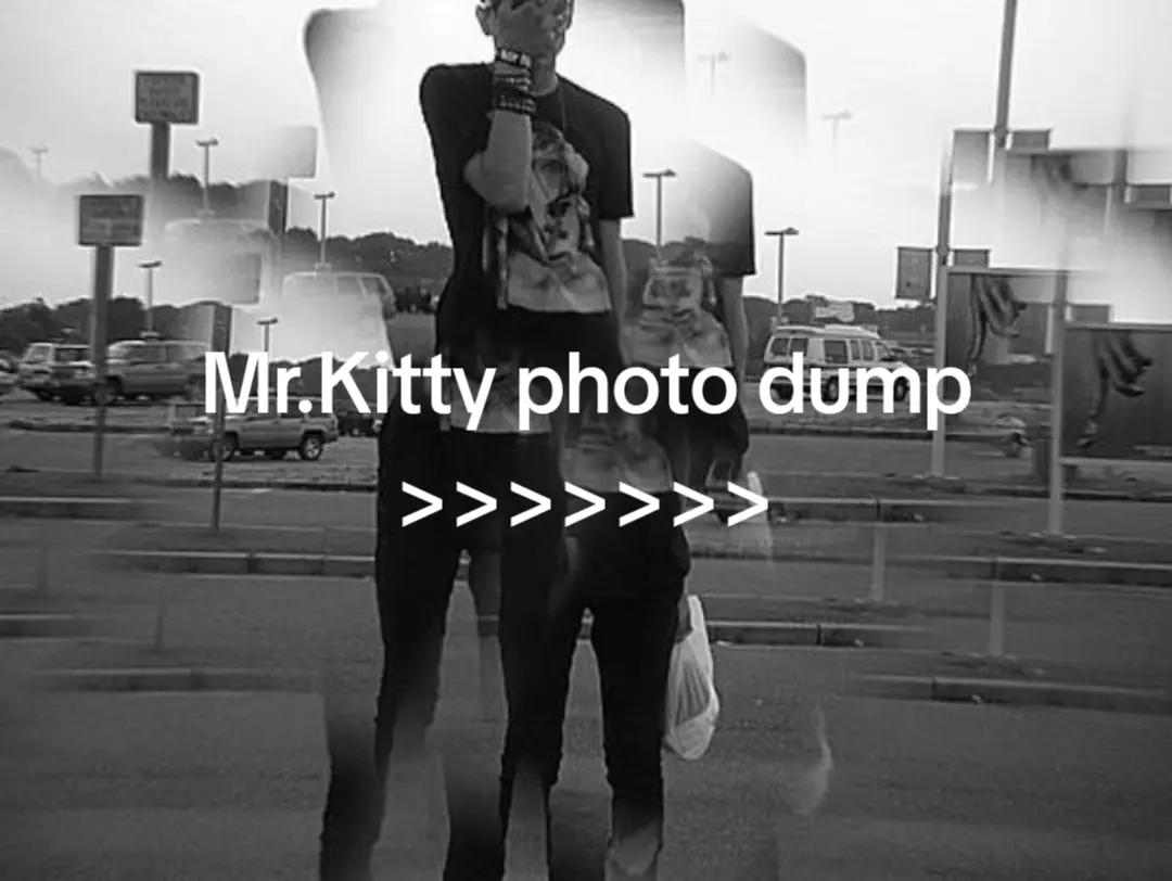 @Daily Mr.Kitty