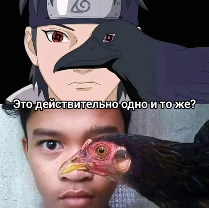 @XP_Sensei 🎮🎓