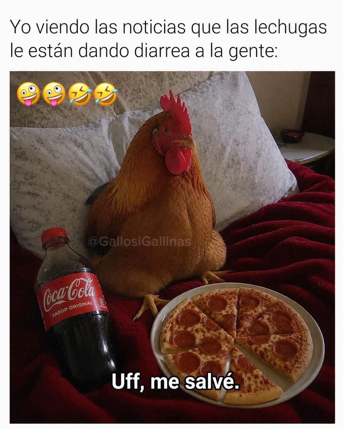 @Juan C. Torres