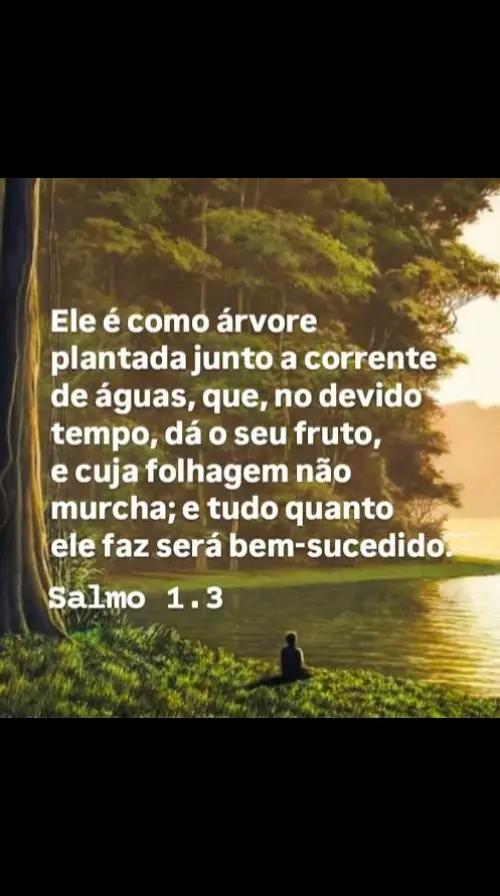 @profeciadejesus