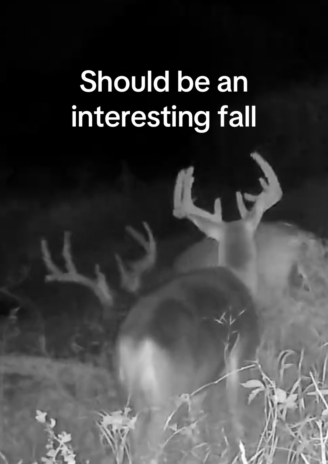 @sportsmansedgellc