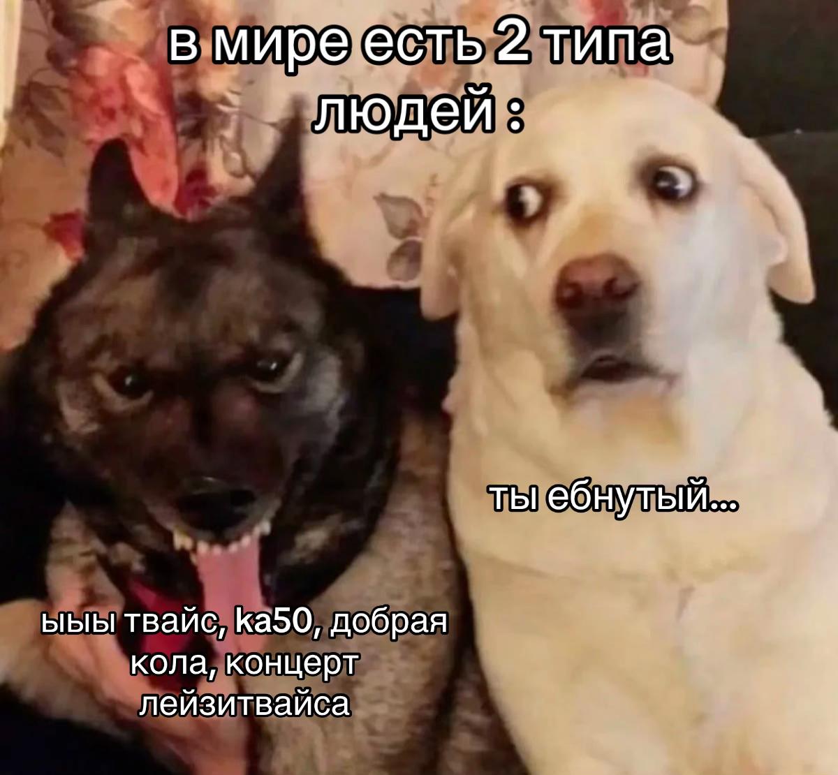 @wassuplazzy