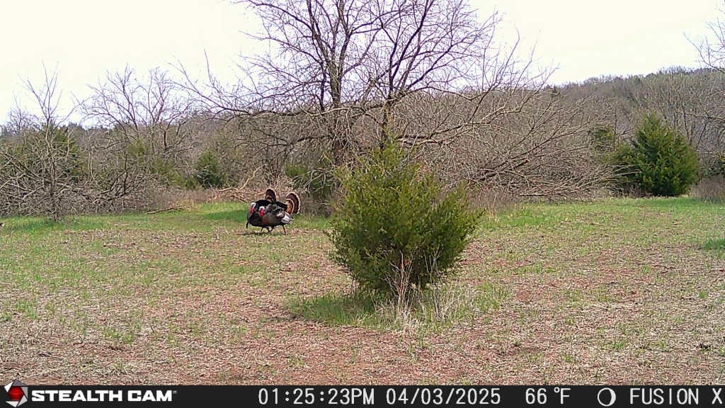 @Tactical Approach Outdoors LLC