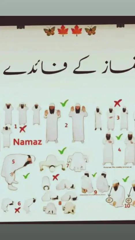 @Laila khan Baloch