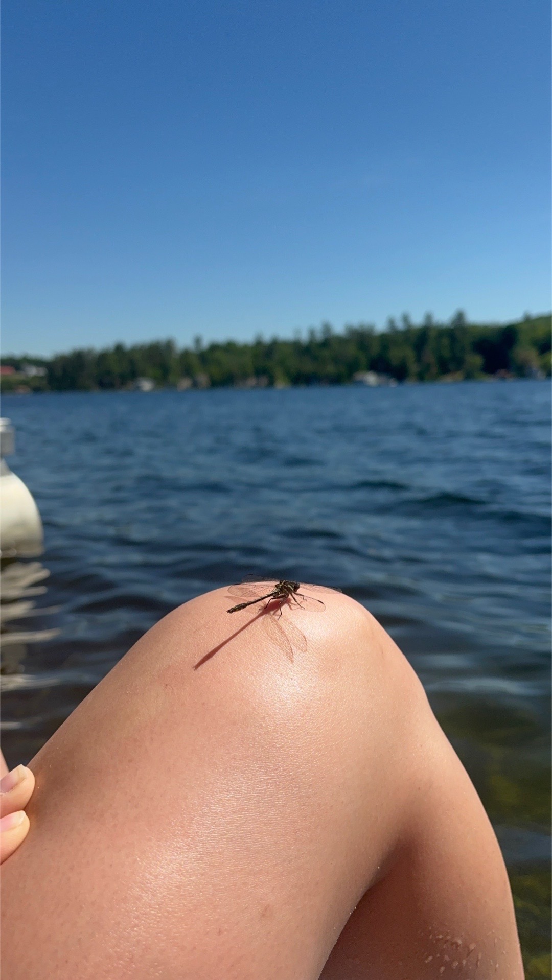 @taliacaiazzo🌷🧚🏻