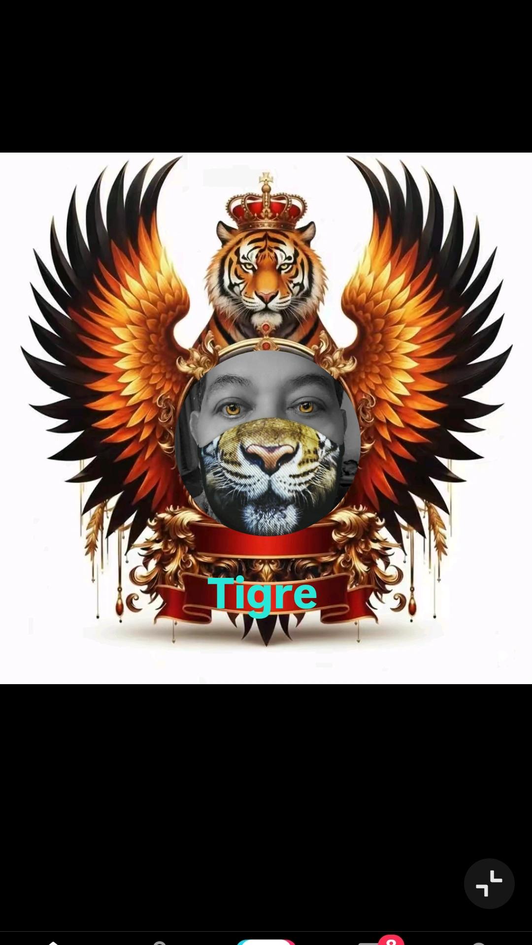 @🐅 TIGRE😎SALVAJE