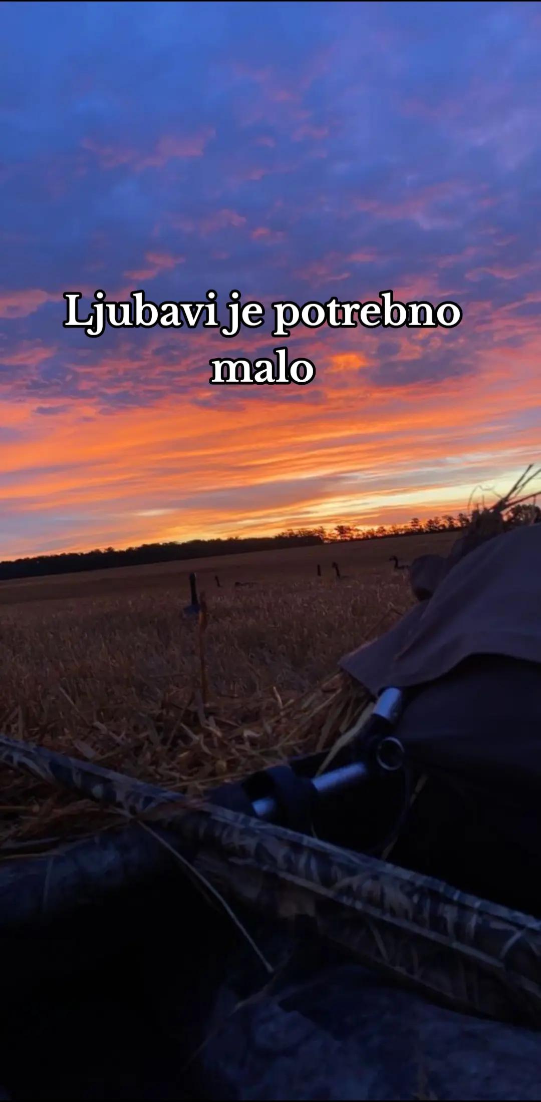 @LOVAC DO GROBA🇵🇦
