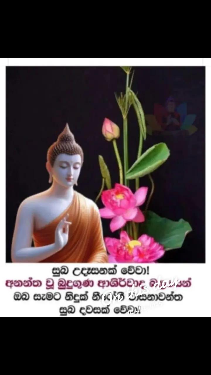 @prasanna