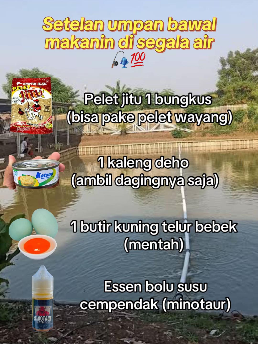 @MINOTAUR ESSEN MANCING