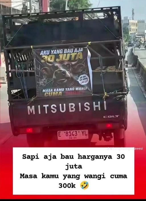 @Bang Ardy455